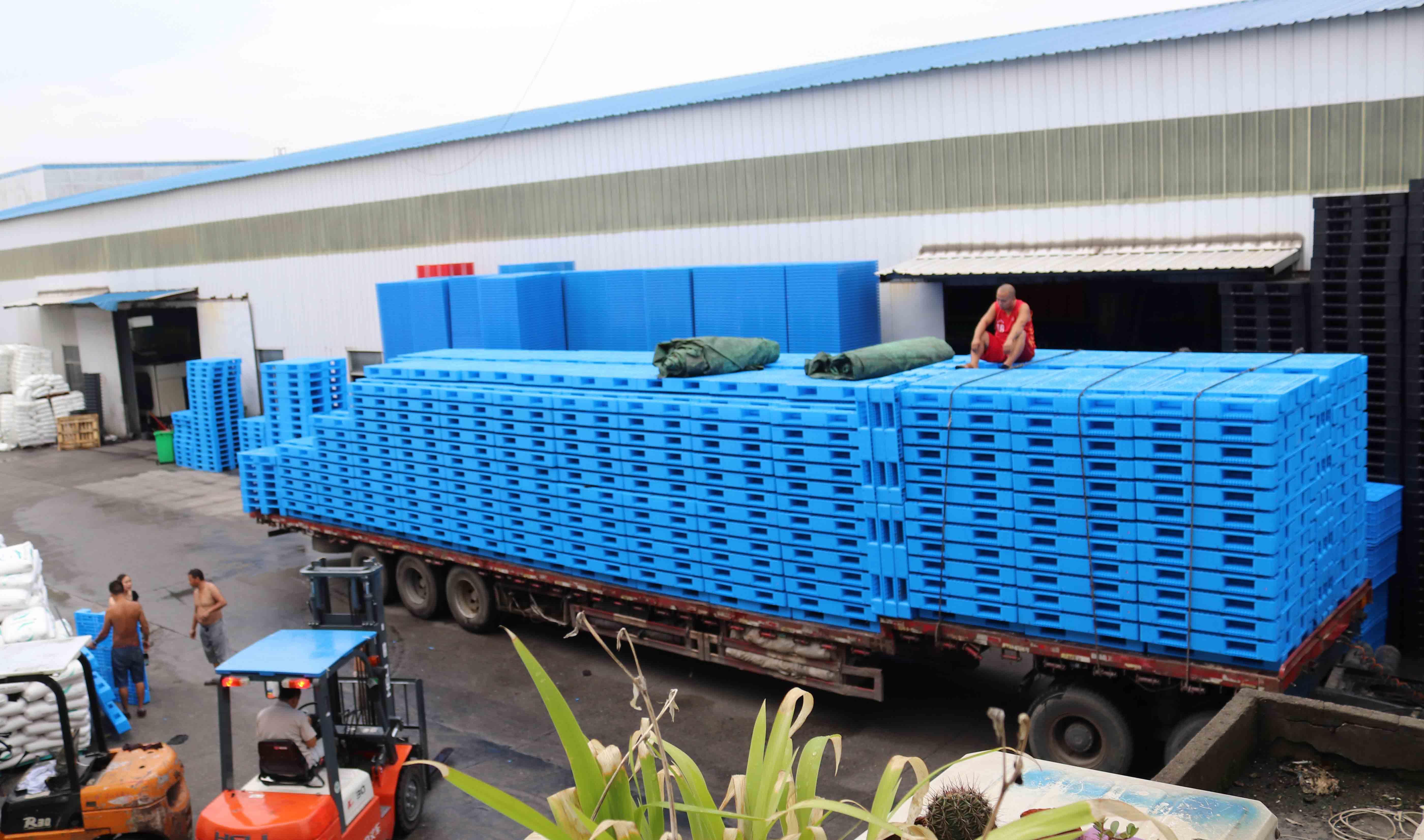 塑料托盤高考卷，你能滿分算我輸！